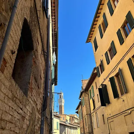Casina Bracci